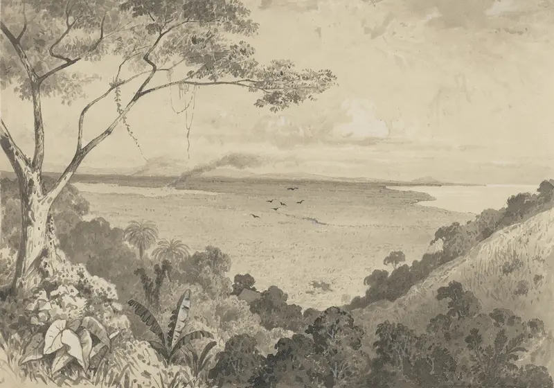 Landscape view from Laventille Hill, oil painting by Michel Jean Cazabon