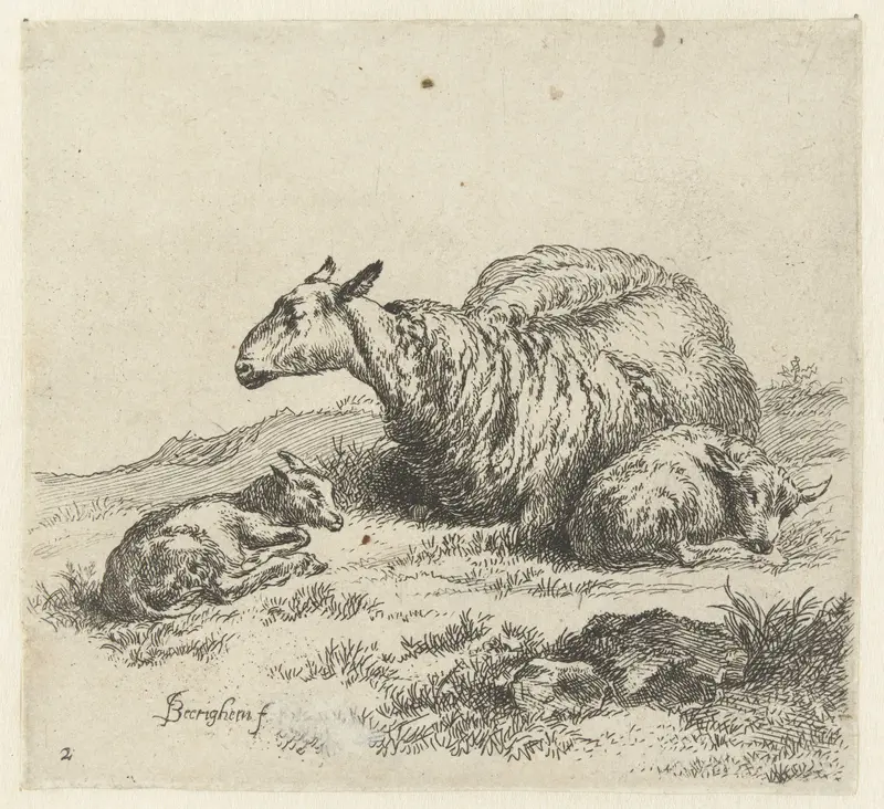 Ewe with two lambs, etching by Nicolaes Pietersz Berchem