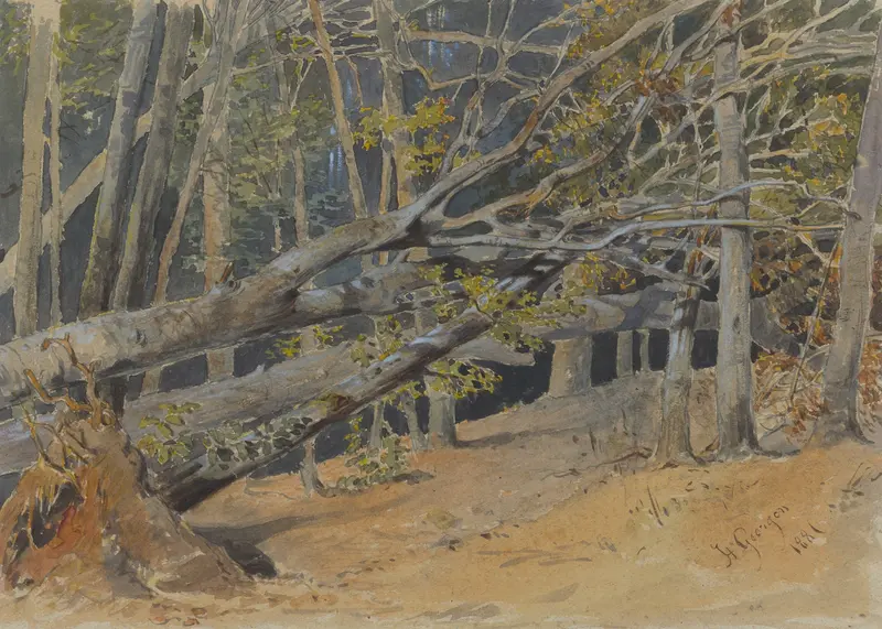 Study of Cut Down Trees, oil on canvas by Friedrich Carl von Scheidlin
