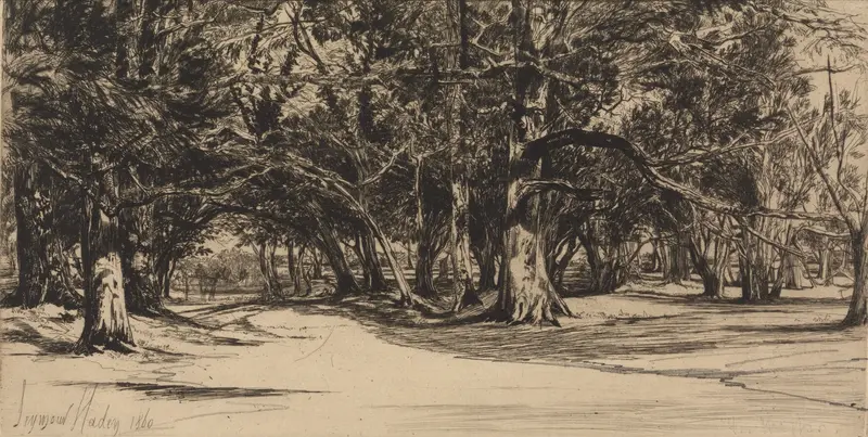 Landscape featuring a narrow pathway in A Byroad in Tipperary by Francis Seymour Haden, etching