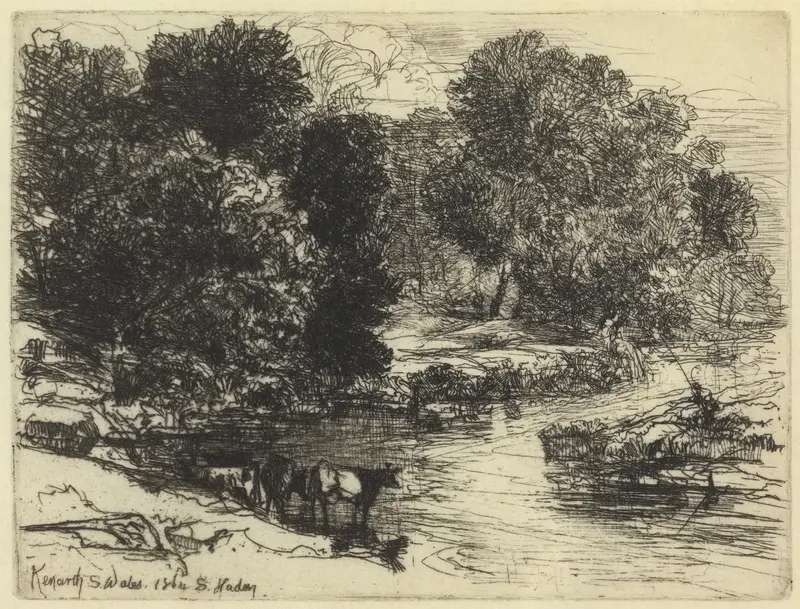 Engraving by Francis Seymour Haden depicting a tranquil landscape with shadows and foliage.