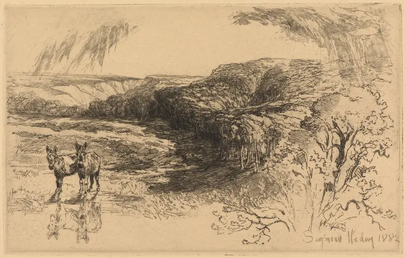 Engraving by Francis Seymour Haden depicting Encombe Woods with vibrant greens and dappled light