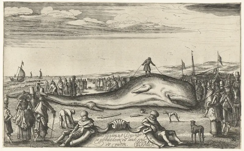 Stranded whale on the beach, etching by Esaias van de Velde