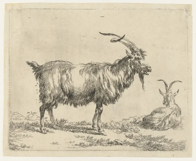 Twee geiten by Nicolaes Pietersz Berchem, etching depicting two goats in a tranquil landscape
