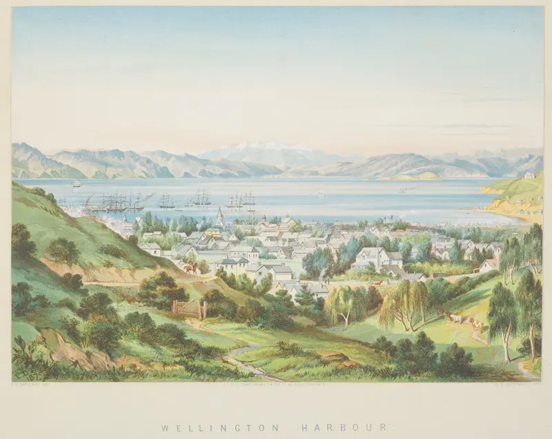 Wellington Harbour by Charles Decimus Barraud, realism, depicting a tranquil marine landscape.