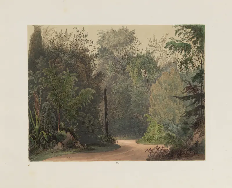 Interior scene of a winter garden with light illuminating foliage by Franz Antoine