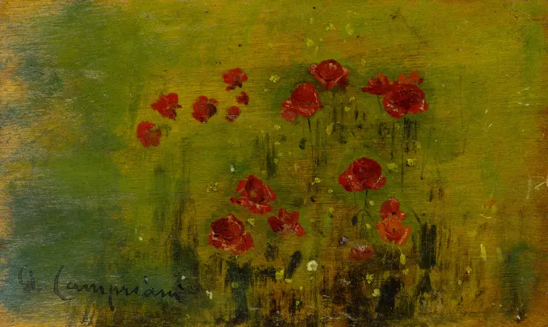 A scattering of red poppies against a soft green background, capturing a moment of fleeting beauty.