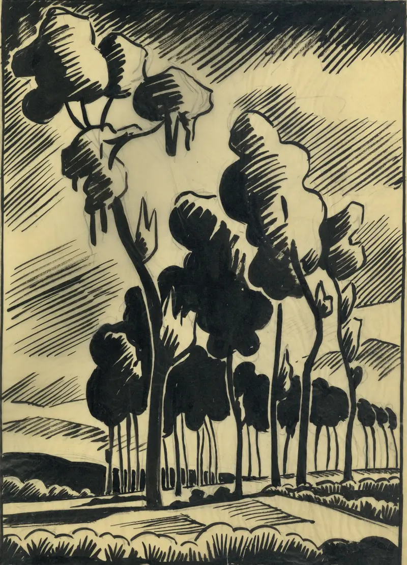 Landscape in ink by Albert Daenens, depicting trees and shadows using ink on paper.