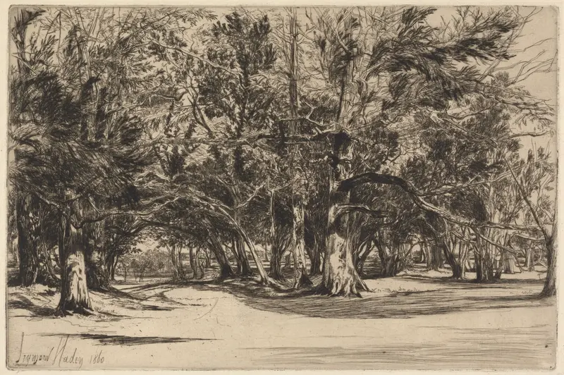 A Byroad in Tipperary by Francis Seymour Haden, landscape etching depicting a meandering path through nature.