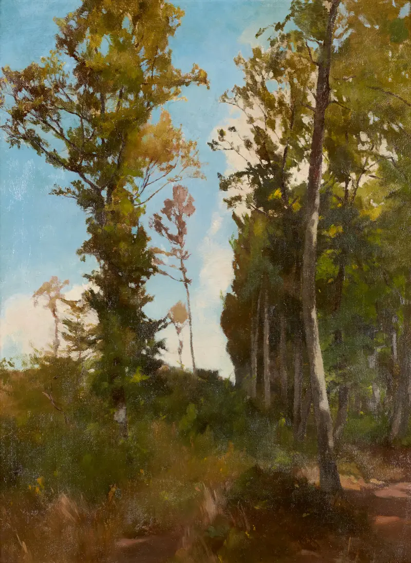 Forest landscape with dappled sunlight, oil on canvas by Carl Schuch