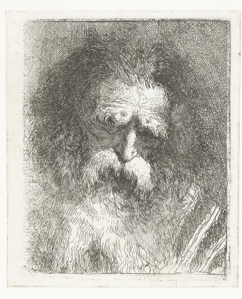 Portrait of an elderly man with a beard, etching by Giovanni Domenico Tiepolo