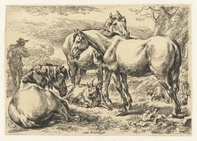 Etching of three horses by Nicolaes Pietersz Berchem, showcasing their elegant forms and textures.