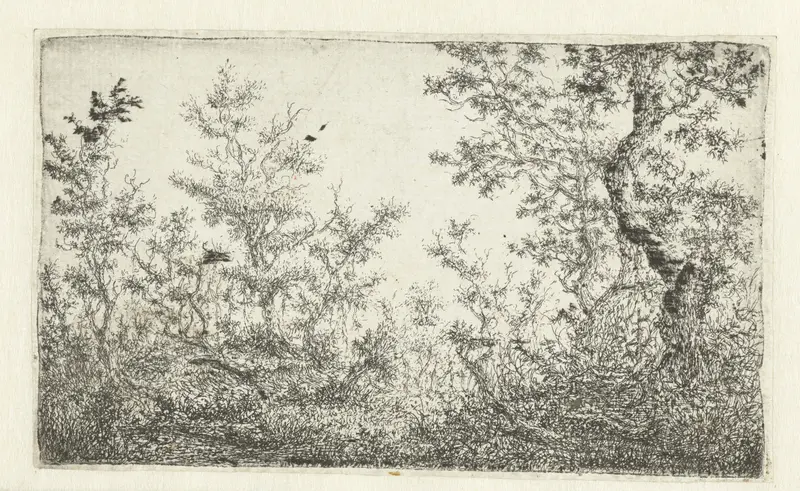 Etching by Claes van Beresteyn depicting a serene forest clearing with dappled sunlight.