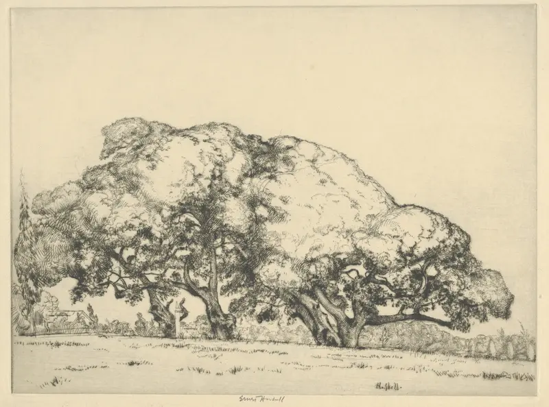 Four Live Oaks by Ernest Haskell, watercolor on paper, depicting four oaks under a luminous sky.