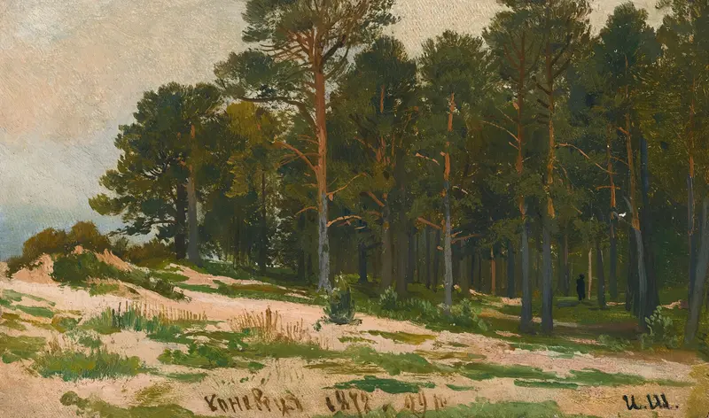 Pine Forest by Ivan Ivanovich Shishkin, oil painting of towering trees and dappled light.