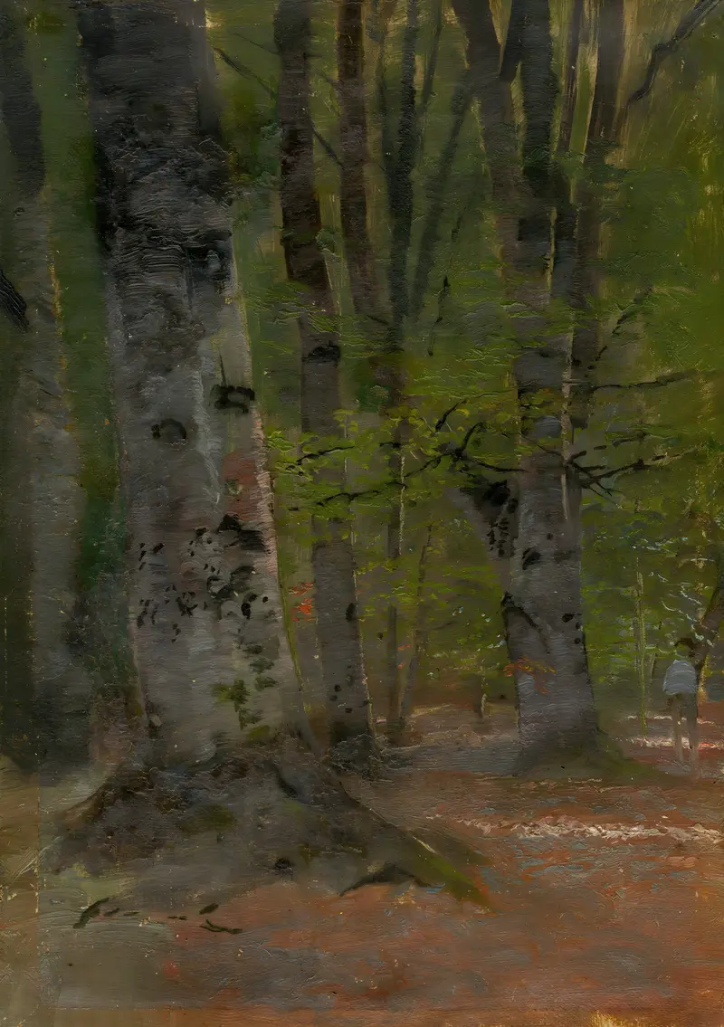 Study of Forest Interior, oil on canvas by Ladislav Mednyánszky, depicting a tranquil forest with sunlight.