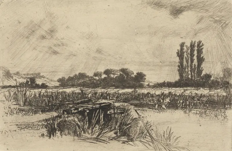 A Water Meadow engraving by Francis Seymour Haden depicting a tranquil landscape with grass and sunset.