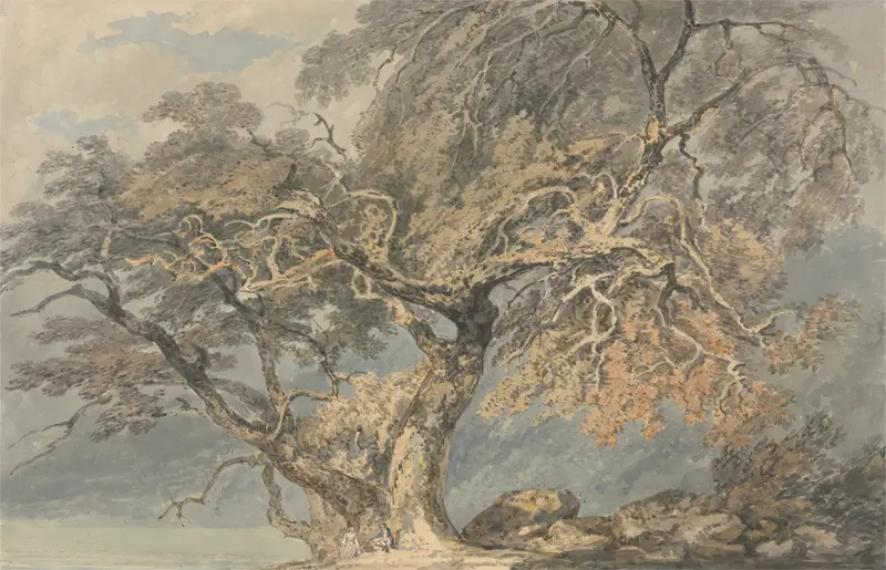 A Great Tree by Joseph Mallord William Turner, oil on canvas depicting a solitary tree in a landscape.