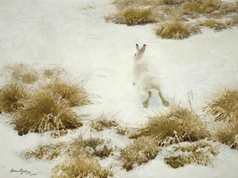 Snow hare in winter grass, oil on canvas by Bruno Liljefors