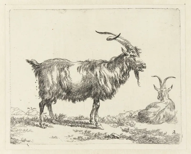 Two goats in an etching by Nicolaes Pietersz Berchem
