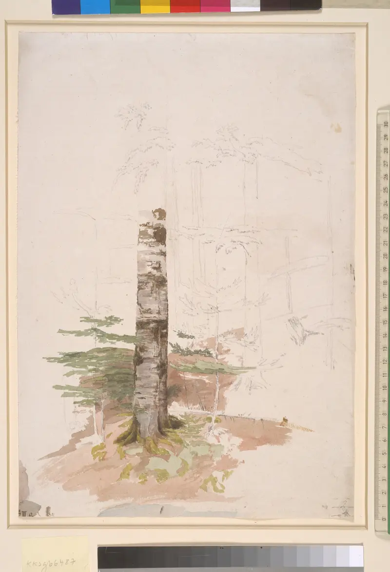 Oil painting by Caspar David Friedrich depicting a serene forest with evergreens.