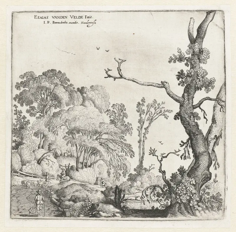 Landschap met bomen by Esaias van de Velde, etching depicting trees and autumn foliage