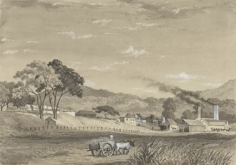 Garden Estate, Arouca by Michel Jean Cazabon, depicting a landscape with a figure among trees and sunlight.