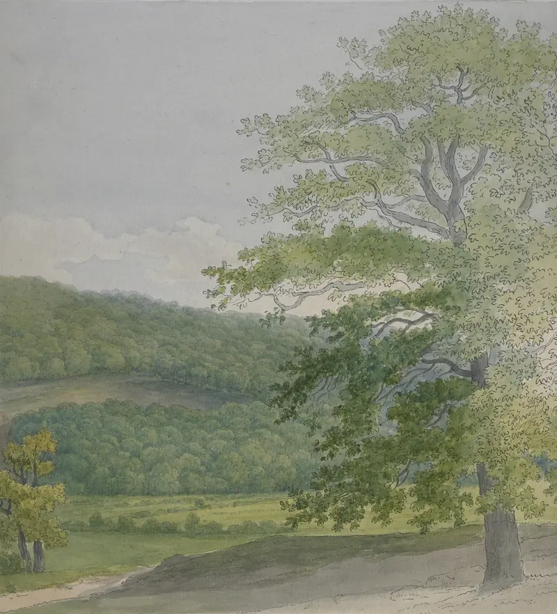 Wooded landscape by John White Abbott, oil on canvas depicting a serene forest scene.