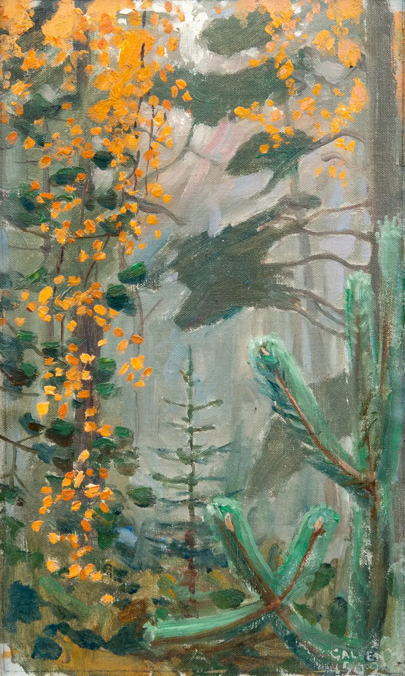 A forest scene with golden leaves and a single sapling amidst blue-green needles and mist.