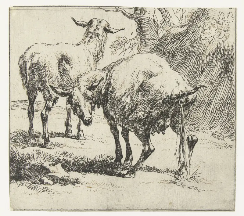 Pastoral scene with a sheep and ewe, etching by Nicolaes Pietersz Berchem
