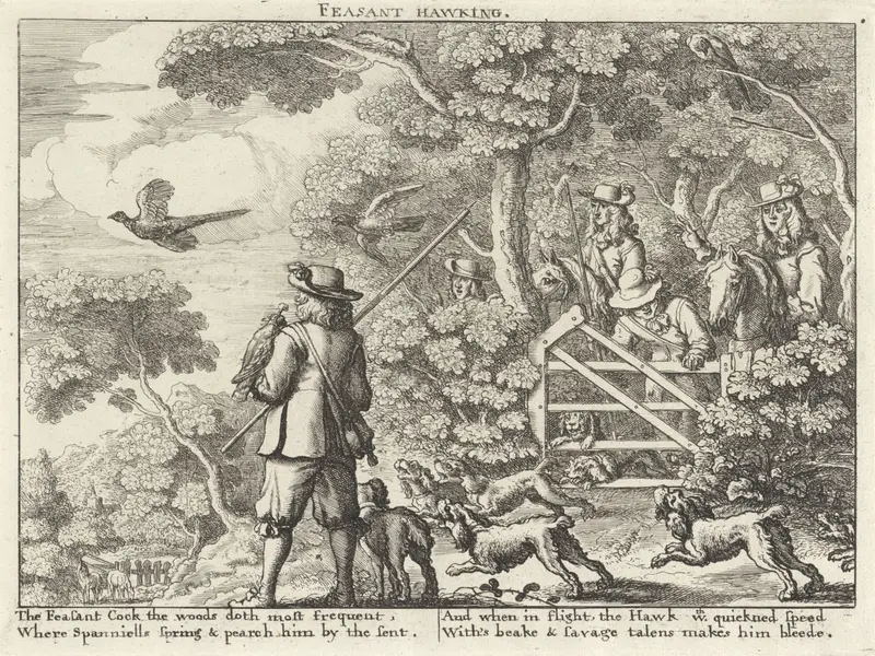 Valkenjacht op fazanten by Richard Gaywood, etching depicting a falconer with pheasants in an autumn landscape.