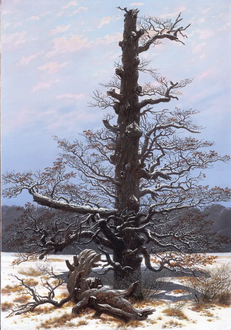 An ancient oak tree stands in a snowy field under a pale sky, its branches dusted with snow, embodying endurance and solitude.