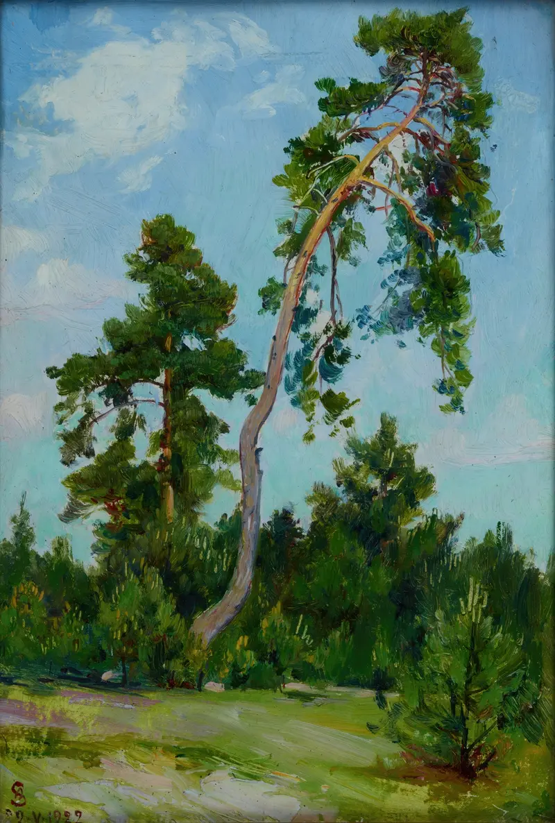 Leaning Pine by Ambroży Sabatowski, impressionist landscape with a pine tree and sunlight