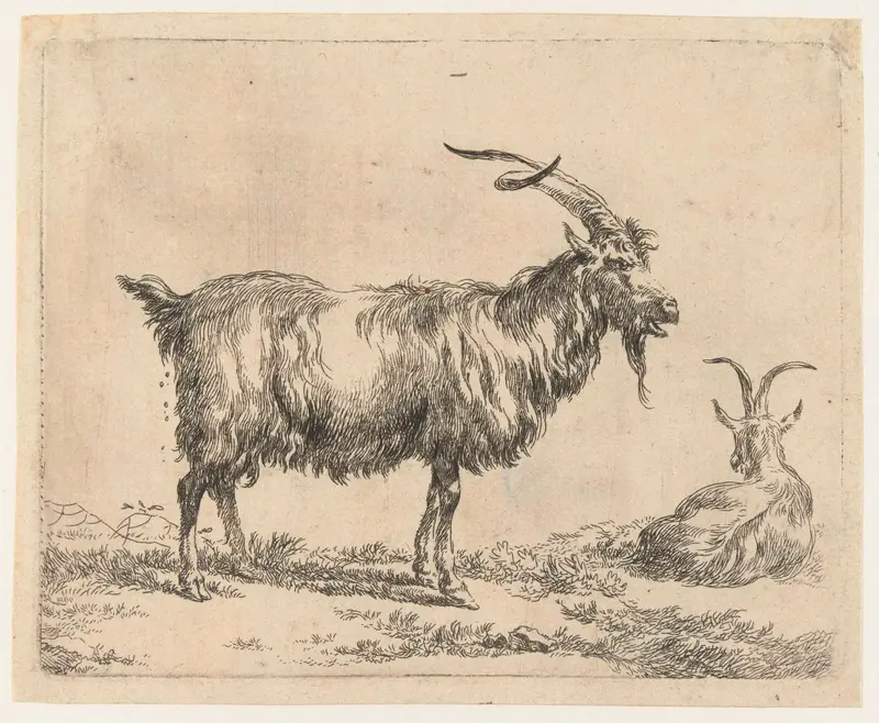 Twee geiten etching by Nicolaes Pietersz Berchem depicting two goats in a lush landscape