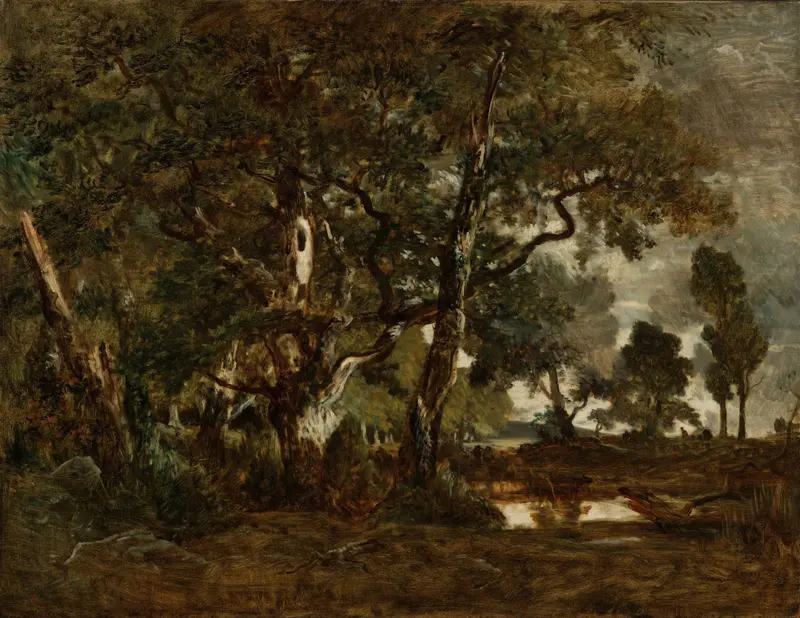 Forest of Fontainebleau by Théodore Rousseau, oil on canvas depicting tall trees and a plain.