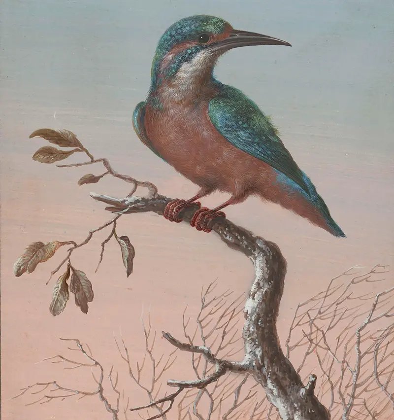 Common Kingfisher watercolor by Barbara Regina Dietzsch, featuring detailed feathers against a wintry background.