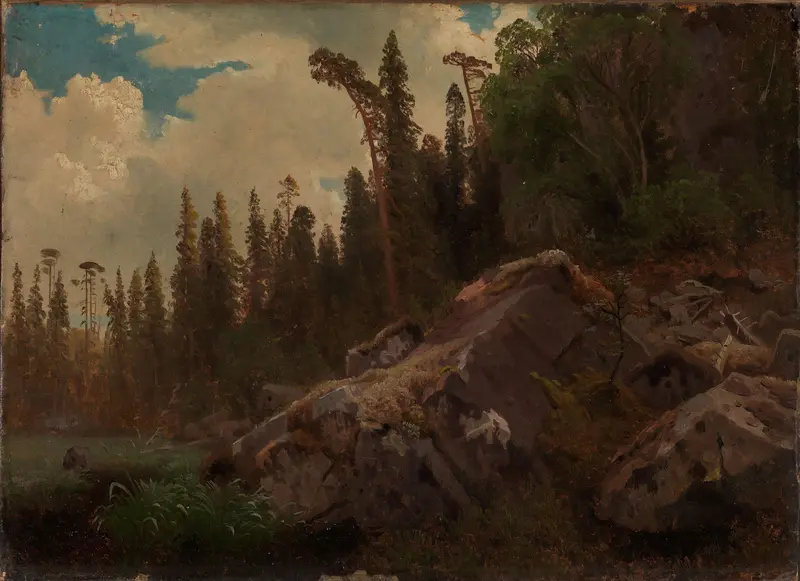 Landscape Study with Trees and Rocks, oil painting by August Cappelen featuring tall trees and rocks.