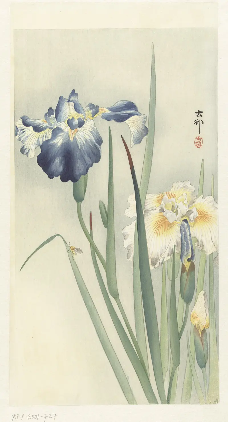 Ohara Koson's 'Irises' features delicate flowers in a serene setting.