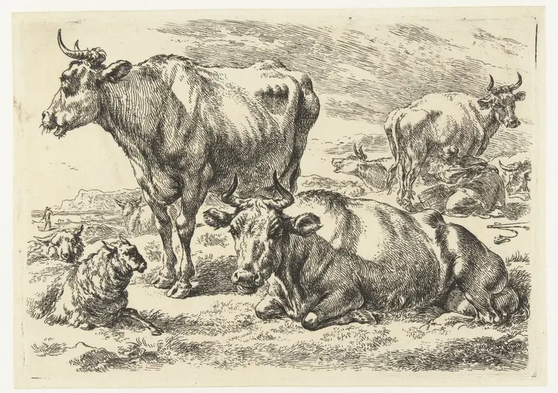 Pastoral scene with a cow and sheep in a meadow, etching by Nicolaes Pietersz Berchem