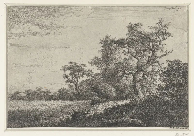 Landscape etching of wheat fields under a dramatic sky by Jacob Isaacksz van Ruisdael