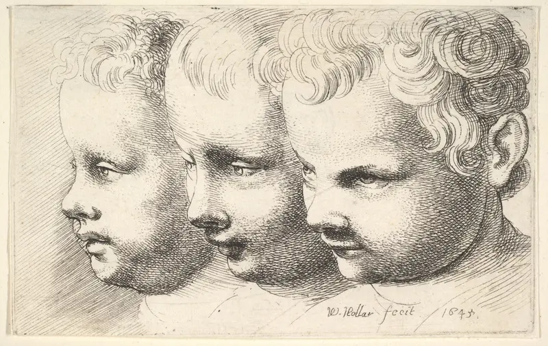A captivating etching by Wenceslaus Hollar featuring three children's heads.