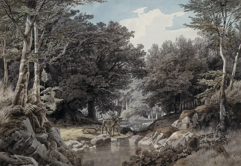 Waldinneres mit Hirschen am Wasser, oil on canvas by Johann Wilhelm Schirmer depicting a serene forest scene.