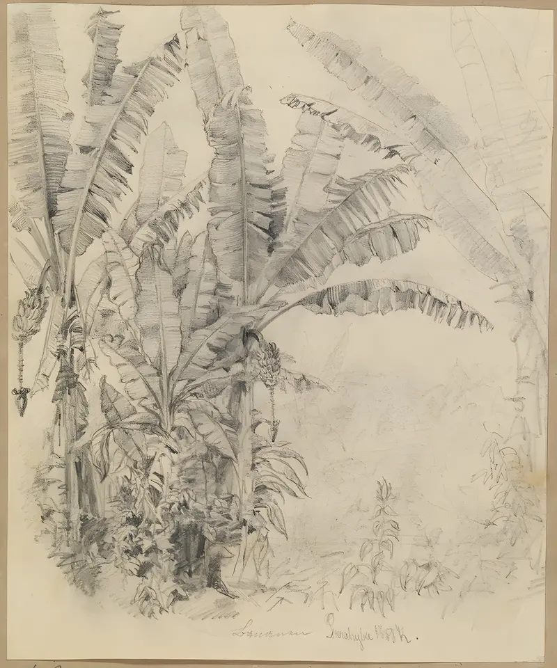A lush depiction of tropical plants in a dense jungle setting.