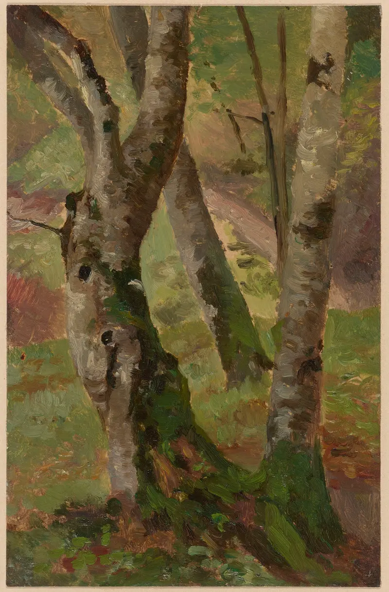 Birch Tree Trunks by Theodor Blache, oil on canvas depicting serene birch trees.