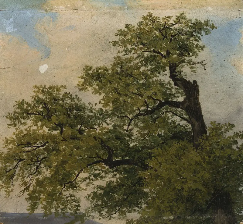 Landscape with trees in oil on canvas by Julius Schoppe