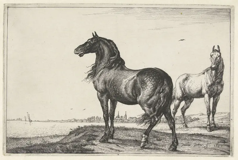 Hinnikend paard by Paulus Potter, etching of a powerful horse in a natural setting.