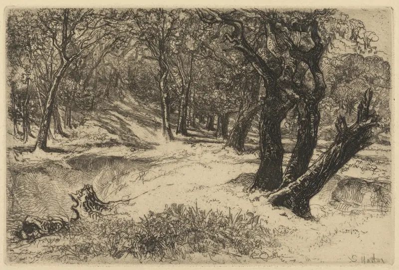 Landscape depicting rolling hills and soft light by Francis Seymour Haden