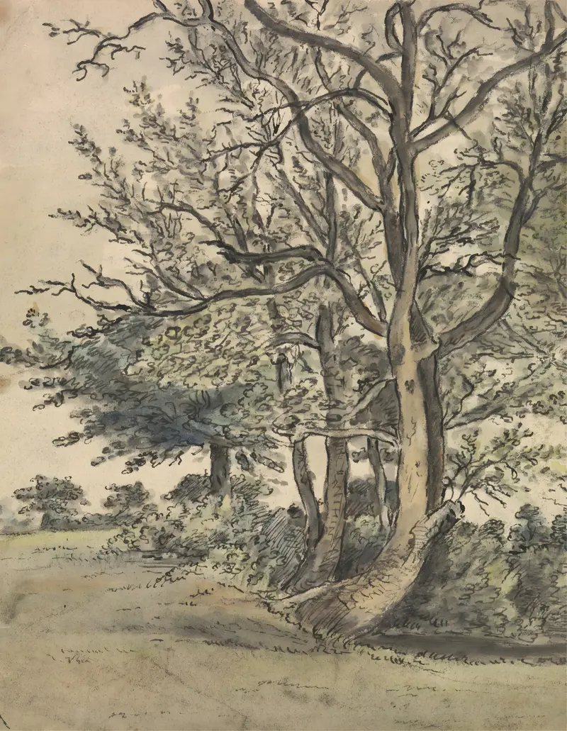 Landscape of Regent’s Park by Patrick Nasmyth, oil on canvas, featuring lush greenery and sunlight.