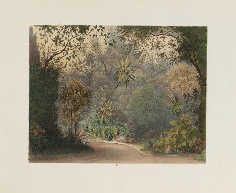 Interior scene with foliage and light, oil painting by Franz Antoine, 1852
