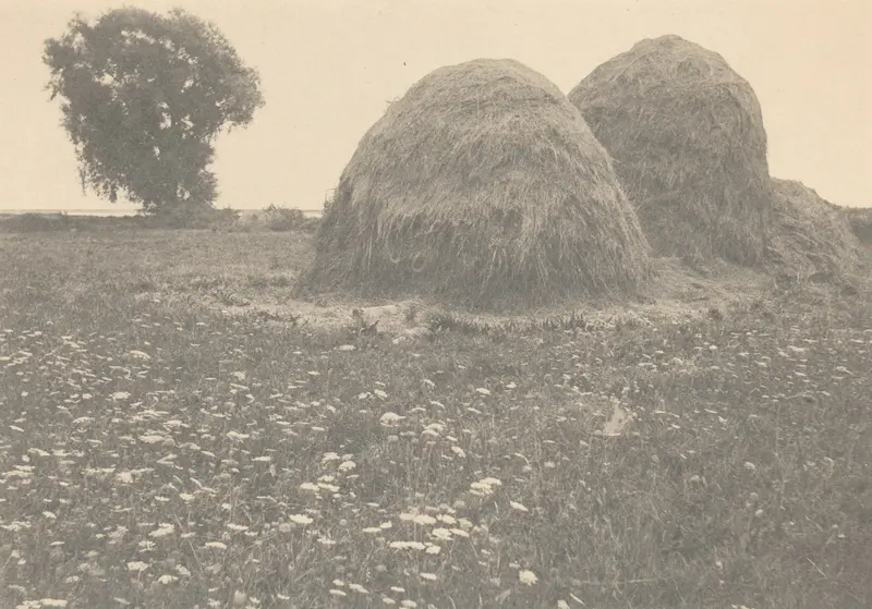 Two rounded haystacks rise from a field speckled with wildflowers under a pale sky.